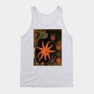 Vintage Sealife Tank Top